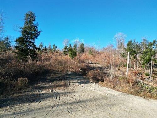 Lot 12 Ghost Road, Springfield, ME, 04487 | Card Image