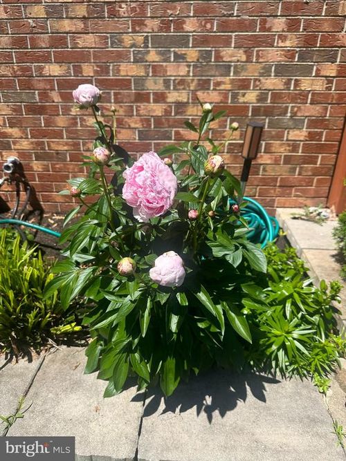 14289 Warrenton Road, GOLDVEIN, VA, 22720 | Card Image