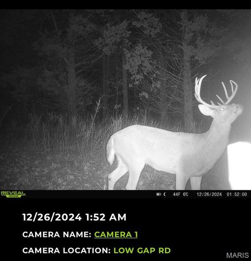 24285 Low Gap Rd, Warrenton, MO, 63383-6403 | Card Image