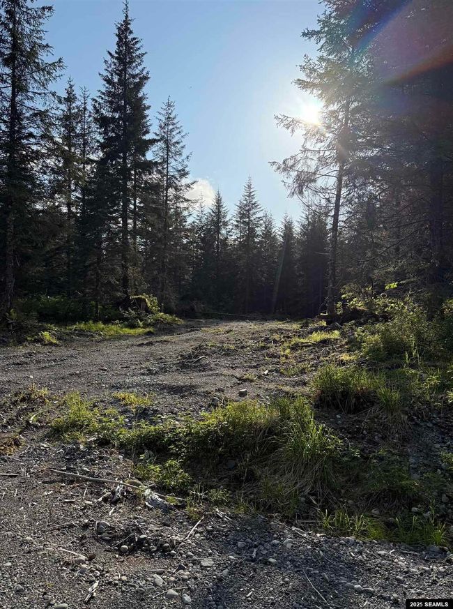 LOT-3-BLOCK-15 - 372 Cedar St., Home with 0 bedrooms, 0 bathrooms and null parking in Yakutat AK | Image 8