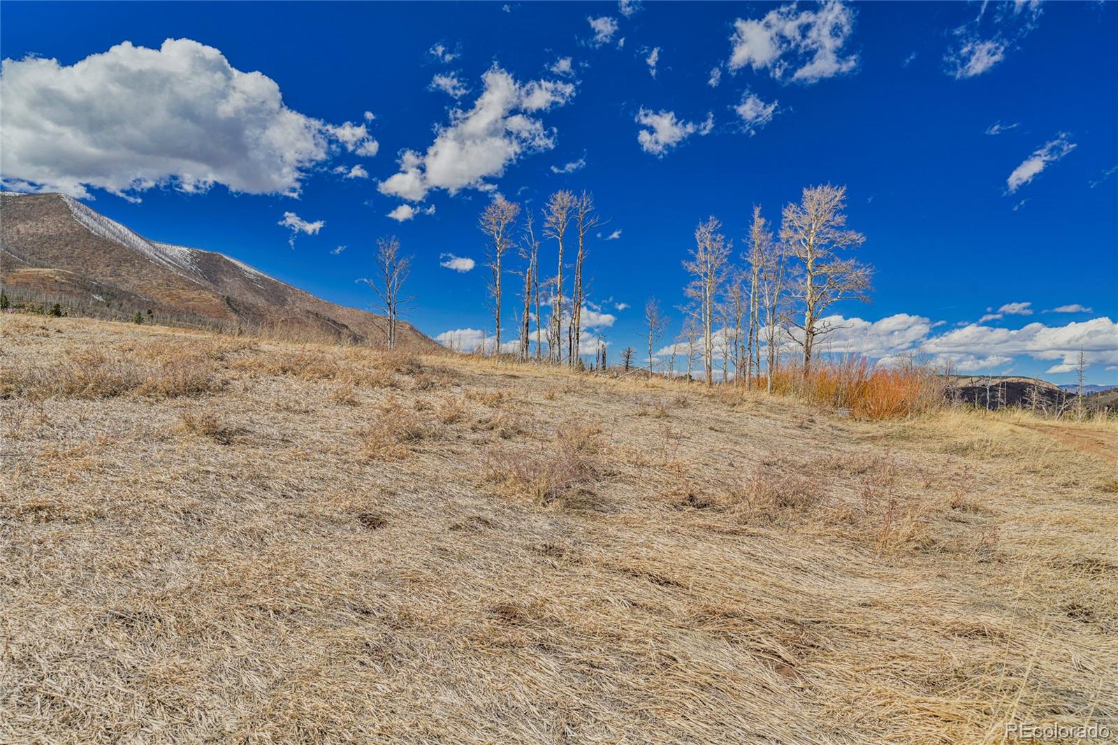 Land in La Veta