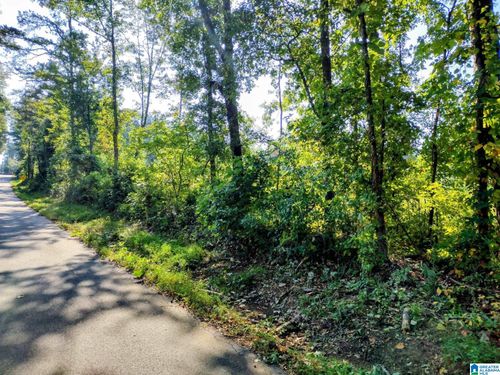 0-0 Fincher Rd, Roanoke, AL, 36274 | Card Image