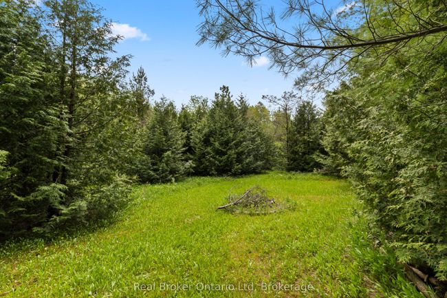 0 Pt Lt 70 Con 2 Concession, Home with 0 bedrooms, 0 bathrooms and null parking in Chatsworth ON | Image 8