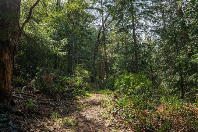 912 Taylor Rd, House other with 3 bedrooms, 1 bathrooms and null parking in Bowen Island BC | Image 27