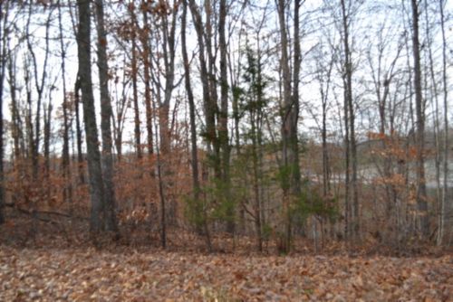 0 Wet Mill Creek Rd, Celina, TN, 38551 | Card Image