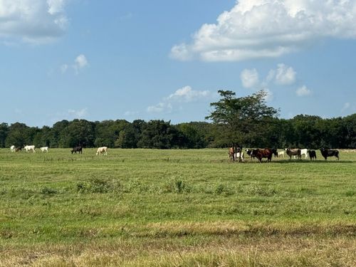 TBD E Fm 2795, Alba, TX, 75410 | Card Image