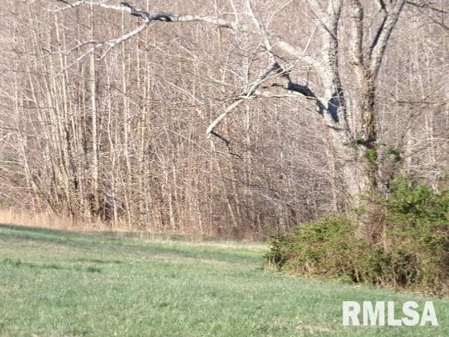 2225 Route 34, House other with 4 bedrooms, 2 bathrooms and null parking in Rosiclare IL | Image 34
