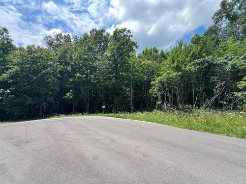 Lot 200 Elzies Way, Grimsley, TN, 38565-2205 | Card Image