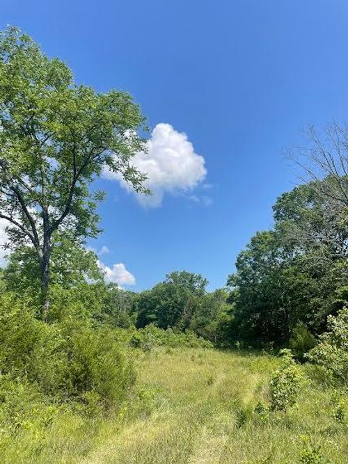 000 County Road 304, Ava, MO, 65608 | Card Image