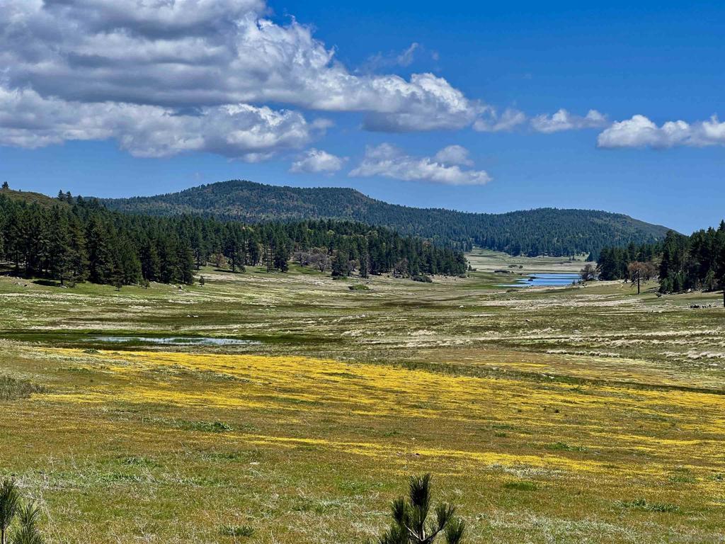 Land in Julian 4