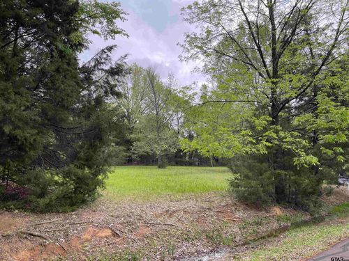 Lot 61, 72 Cypress Cir, Mt Vernon, TX, 75457-4996 | Card Image
