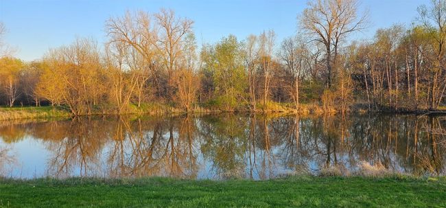 61 Timberline Dr, Home with 0 bedrooms, 0 bathrooms and null parking in Riverside IA | Image 8