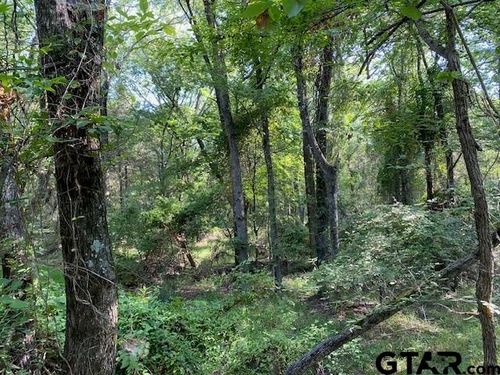 TR 3-A Cr 41514, Athens, TX, 75751 | Card Image