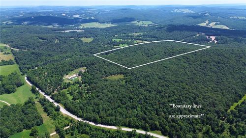 78 Acres Hwy 21, Berryville, AR, 72616 | Card Image