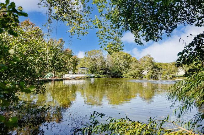 pond/playground behind house | Image 32