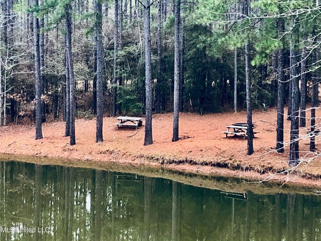 tempImageV0o9G0 | Image 45