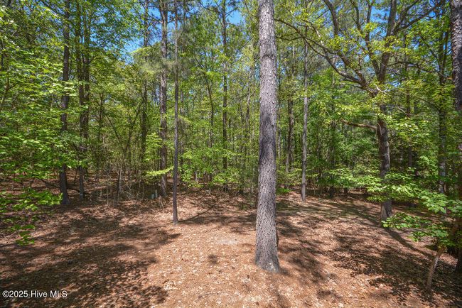 14 Village By The Lk, Townhouse with 3 bedrooms, 2 bathrooms and null parking in Southern Pines NC | Image 52
