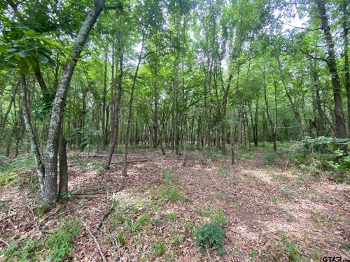 Lot 10 &amp; 11 Cr 3920, Mt Pleasant, TX, 75455 | Card Image