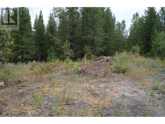 Lot 1 3 Rd St, Home with 0 bedrooms, 0 bathrooms and null parking in Kootenay Boundary BC | Image 7