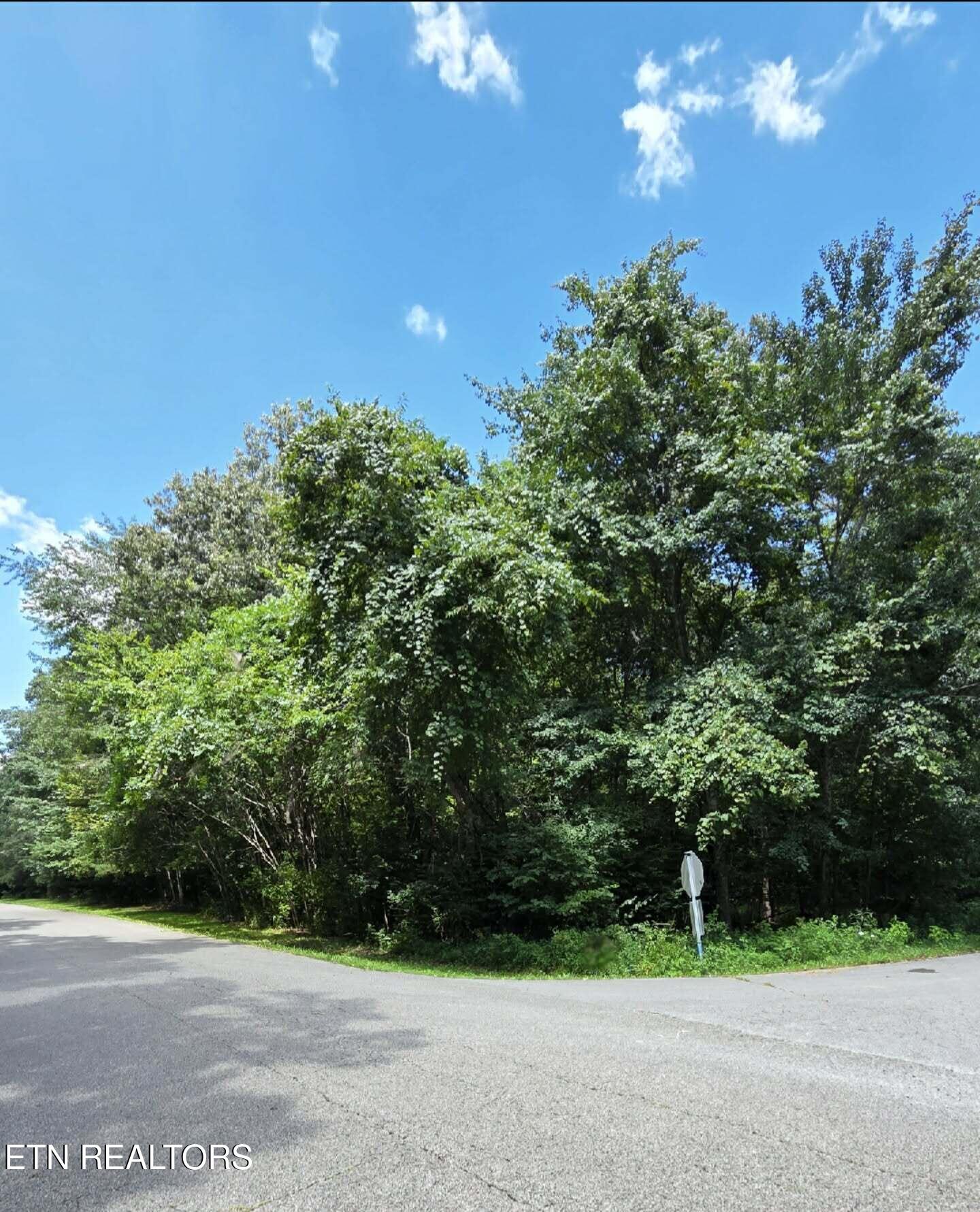 Land in Crossville 2