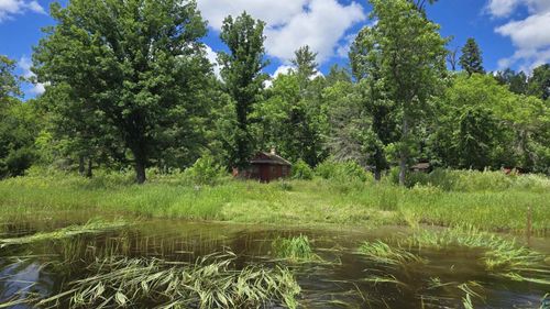 TBD 40 Crane Lake, Crane Lake, MN, 55725 | Card Image
