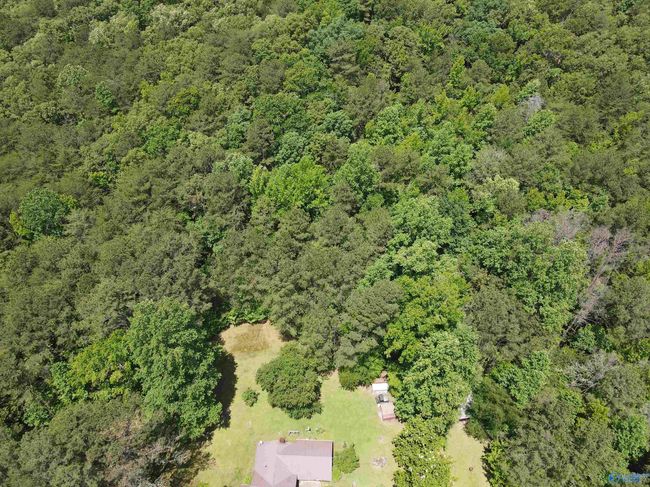 1081 Abel Rd, House other with 2 bedrooms, 1 bathrooms and null parking in Delta AL | Image 36