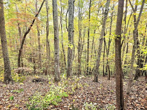 0 Drew Ct, Smithville, TN, 37166 | Card Image
