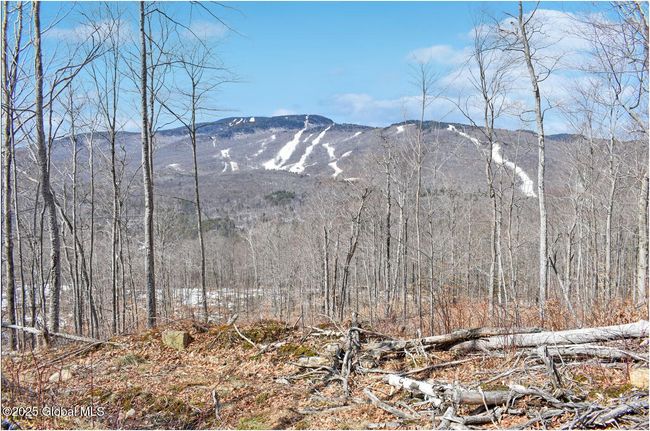 48 Durkin Rd, Home with 0 bedrooms, 0 bathrooms and null parking in North Creek NY | Image 22