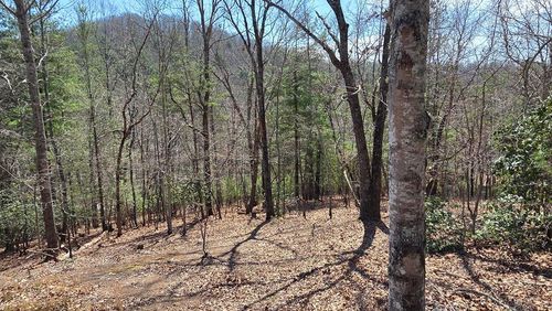Lot 24 Pine Log Cir, Warne, NC, 28909-8623 | Card Image
