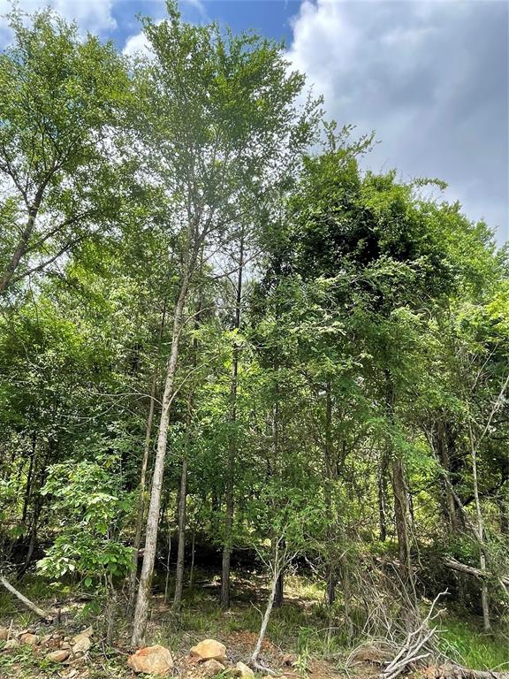 Land in Broken Bow 2