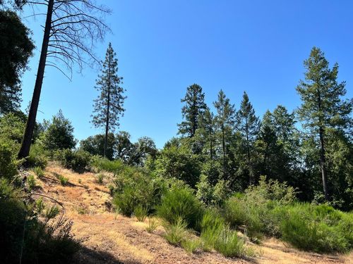 75 Bottle Hill Rd, Georgetown, CA, 95634-9777 | Card Image