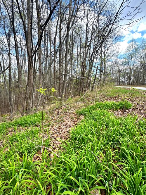 0 Coconut Ridge Rd, Smithville, TN, 37166 | Card Image