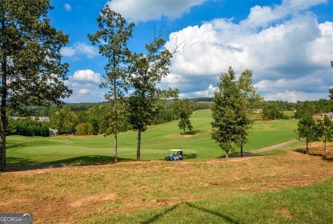 405 Laurel Spring Ct, House other with 4 bedrooms, 3 bathrooms and null parking in Canton GA | Image 72