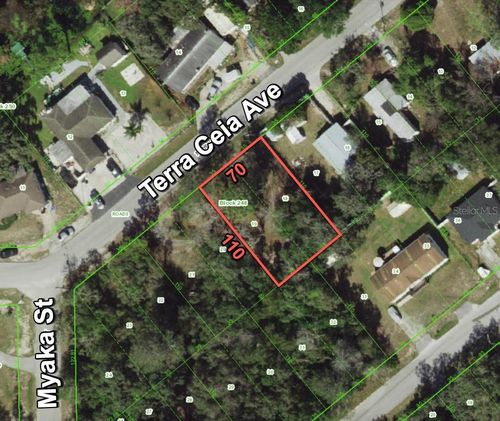 12338 Terra Ceia Ave, New Port Richey, FL, 34654-4559 | Card Image