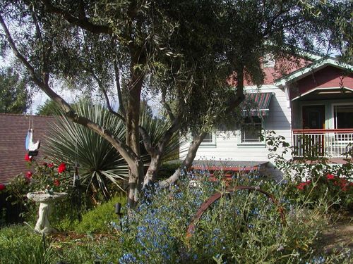 126 Center Street, Jackson, CA, 95642 | Card Image