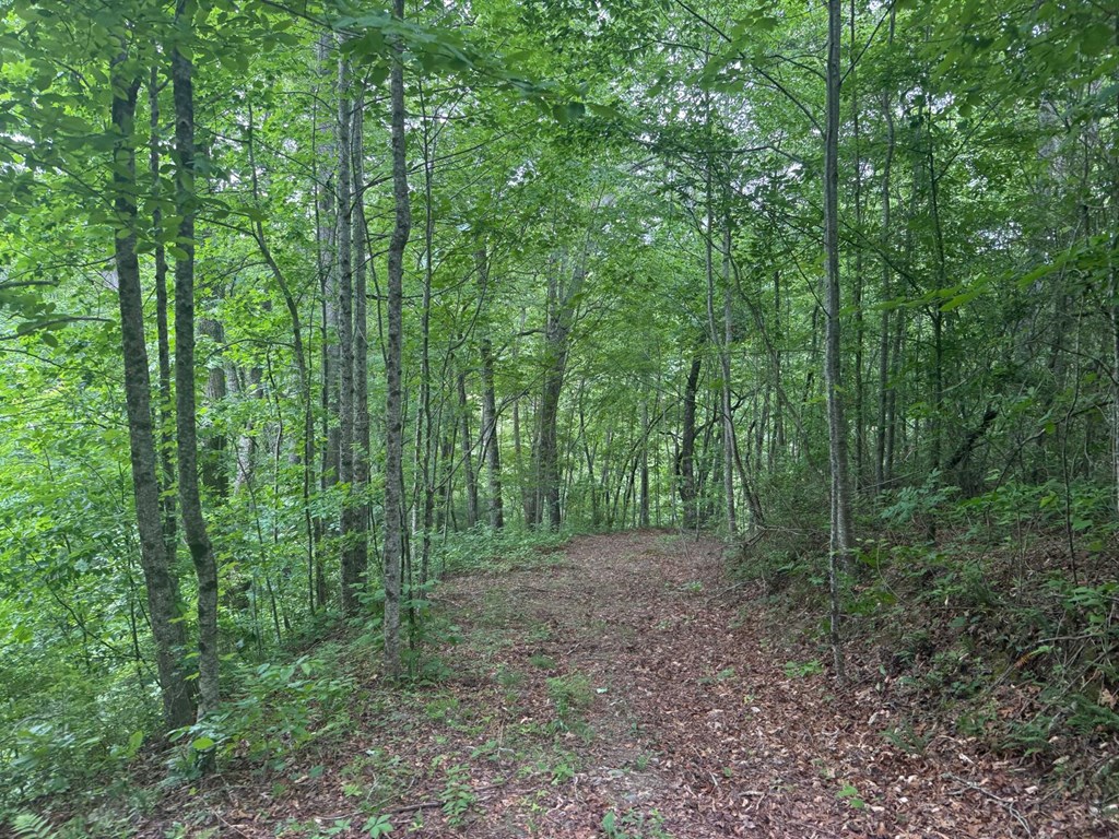 Land in Robbinsville 5
