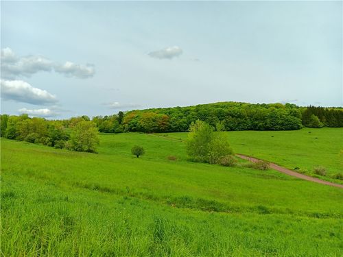 1 Kiff Brook Rd, Bloomville, NY, 13739 | Card Image
