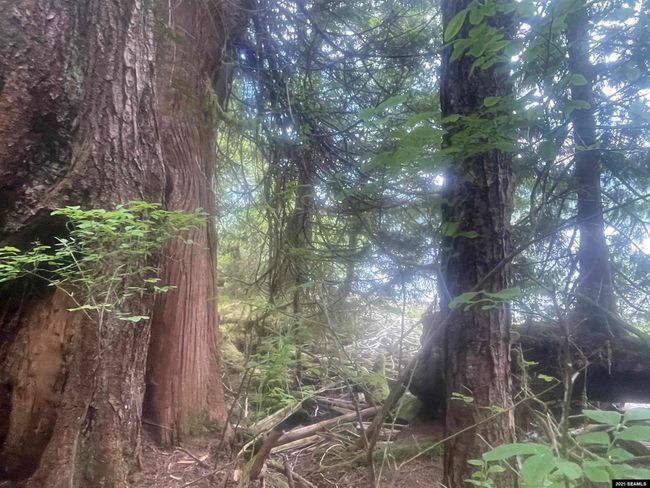 LOT-2-BLOCK-1 - NHN Legal Address Only, Home with 0 bedrooms, 0 bathrooms and null parking in Ketchikan AK | Image 5