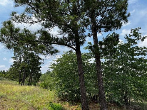 46 Kamakoa Ln, Bastrop, TX, 78602 | Card Image