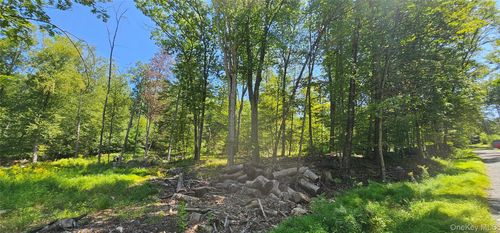 50 Deep Hollow Hl, Narrowsburg, NY, 12764-6204 | Card Image
