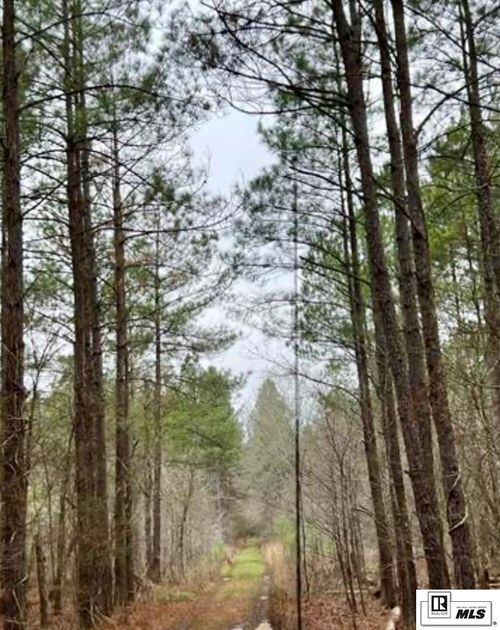 00 Gourd Bayou Rd, Monroe, LA, 71202 | Card Image