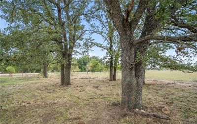 View of local wilderness | Image 2