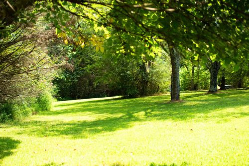 0 Mannin Rd, Leoma, TN, 38468 | Card Image