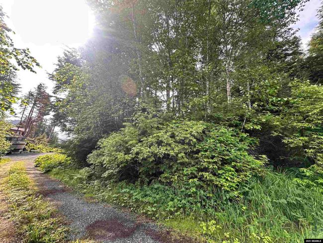 100 Yakobi Way, Home with 0 bedrooms, 0 bathrooms and null parking in Sitka AK | Image 4