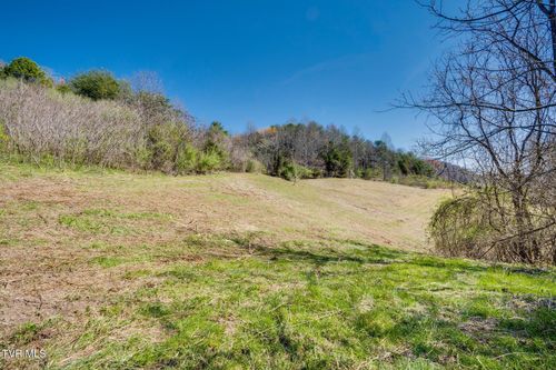Tbd Ivy Valley Road, Gate City, VA, 24251 | Card Image