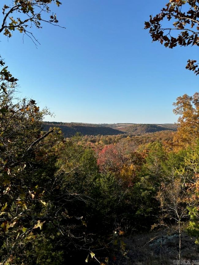 000 S Ar 9 Hwy, Home with 0 bedrooms, 0 bathrooms and null parking in Mountain View AR | Image 4