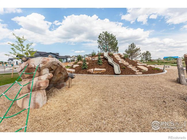 COMMUNITY PARK | Image 39