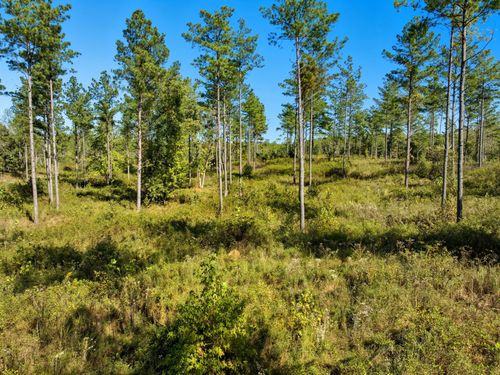 0 Saddleback Drive, Dover, TN, 37058 | Card Image