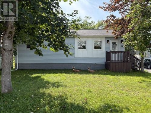 19 Atlantic Ave, House with 3 bedrooms, 2 bathrooms and null parking in Stephenville NL | Card Image