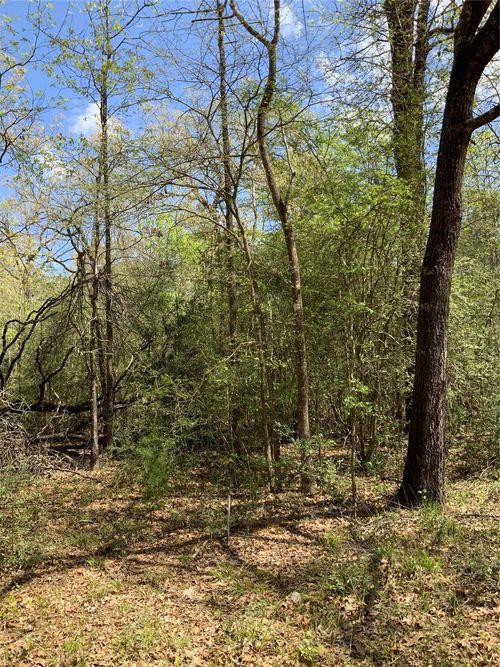 137 Foyt Dr, Livingston, TX, 77351 | Card Image